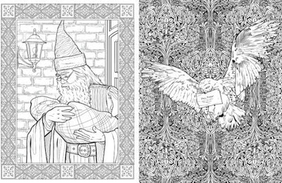 Harry Potter: Coloring Book