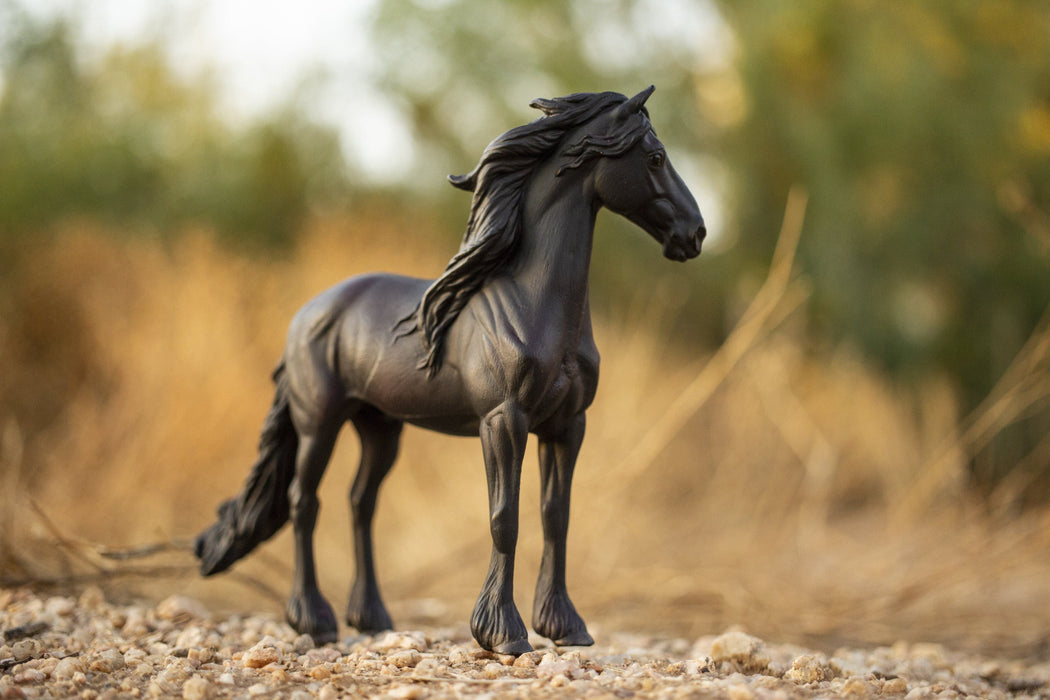 Friesian Stallion
