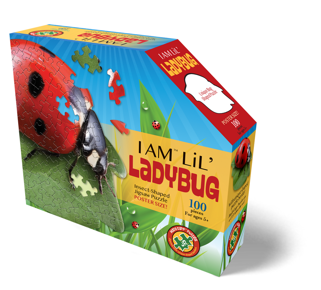 I AM LiL' LADYBUG 100
