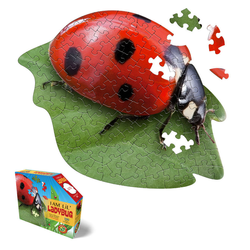 I AM LiL' LADYBUG 100