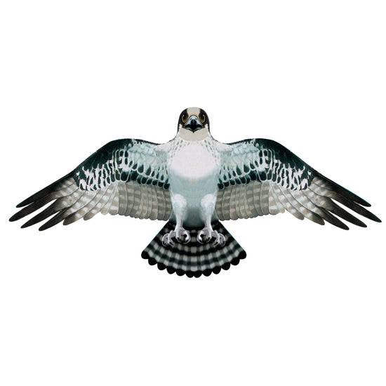 Gayla Flapper Kites, Assorted