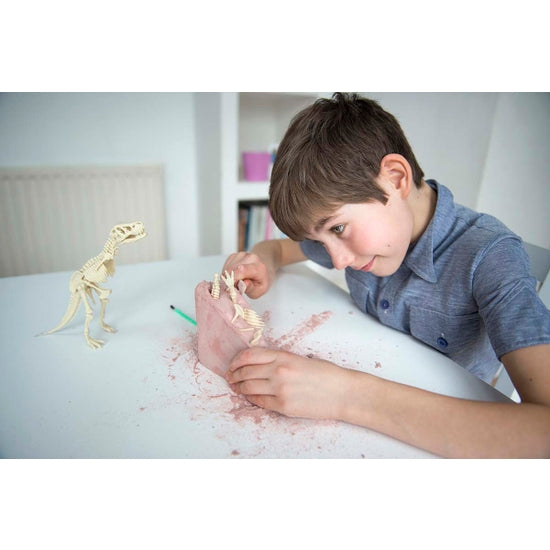 4M Dig-A-Dino T-Rex STEM Science Kit