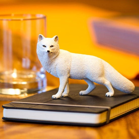 Arctic Fox