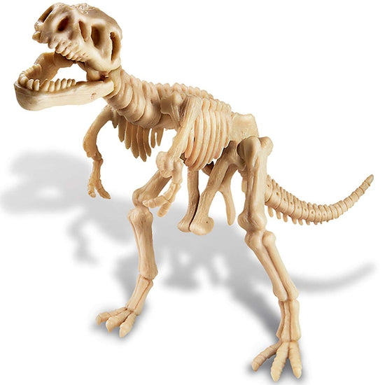 4M Dig-A-Dino T-Rex STEM Science Kit