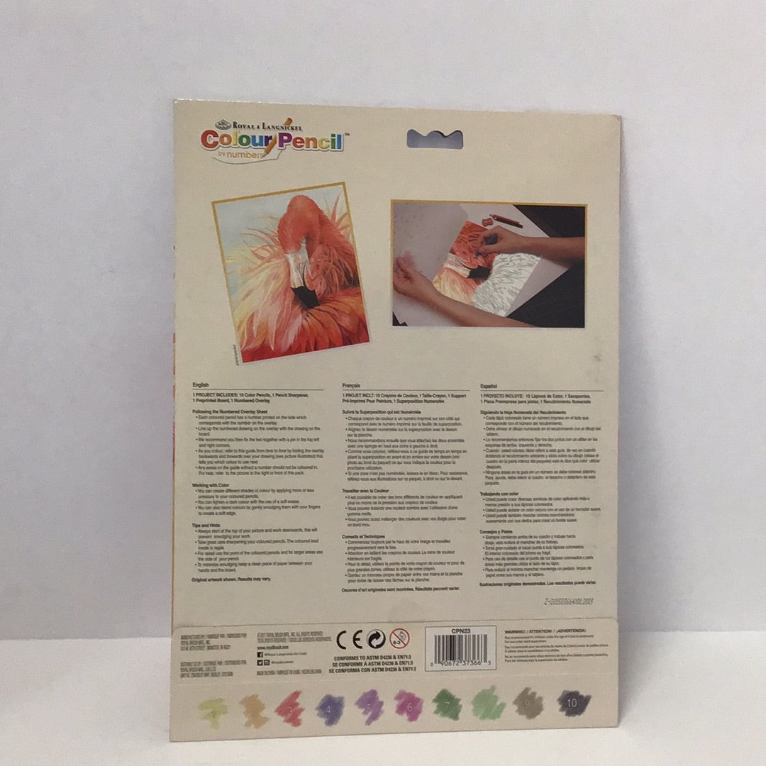 Flamingo Pencil by number