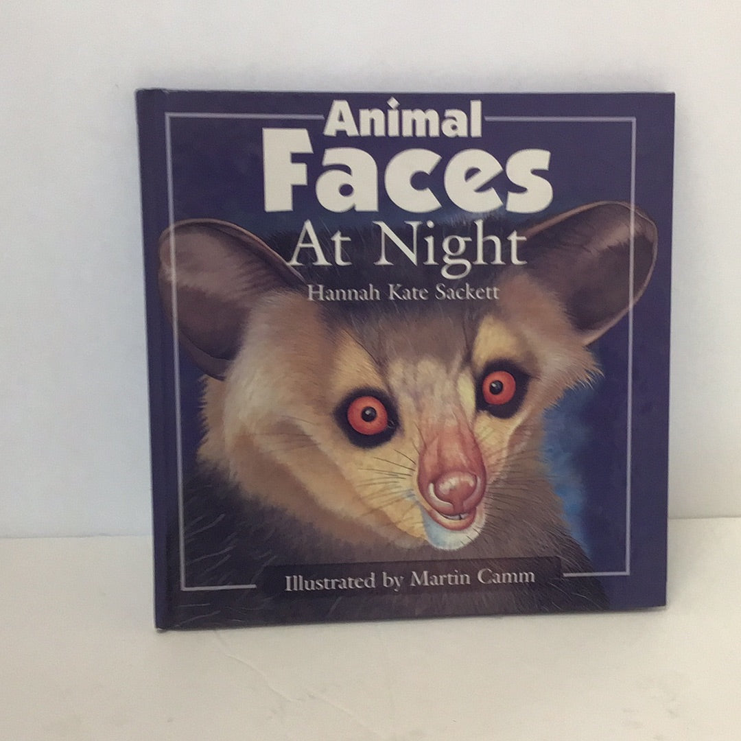 Animal faces at night