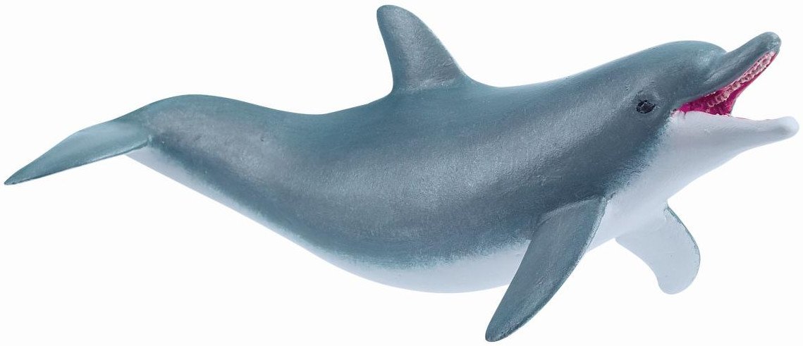 Playing dolphin