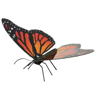 Monarch-Butterfly - Color