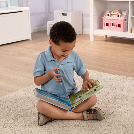 Melissa & Doug Dinosaur A To Z Poke-A-Dot! Book