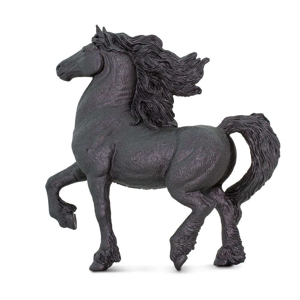 Friesian Mare