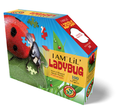 I AM LiL' LADYBUG 100