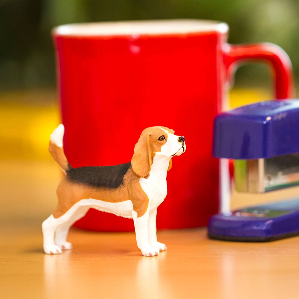 Beagle