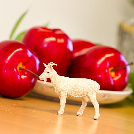 Nanny Goat