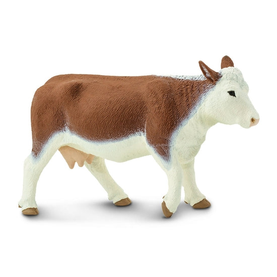 HEREFORD COW