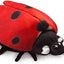 Ladybug Life Cycle Puppet