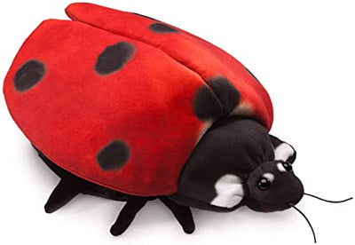 Ladybug Life Cycle Puppet