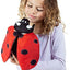 Ladybug Life Cycle Puppet
