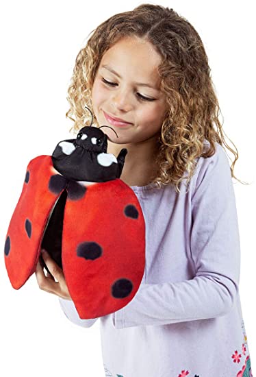 Ladybug Life Cycle Puppet