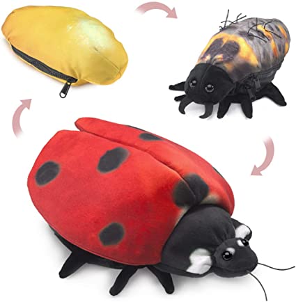 Ladybug Life Cycle Puppet