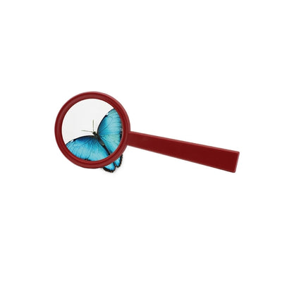 Magnifying Lens