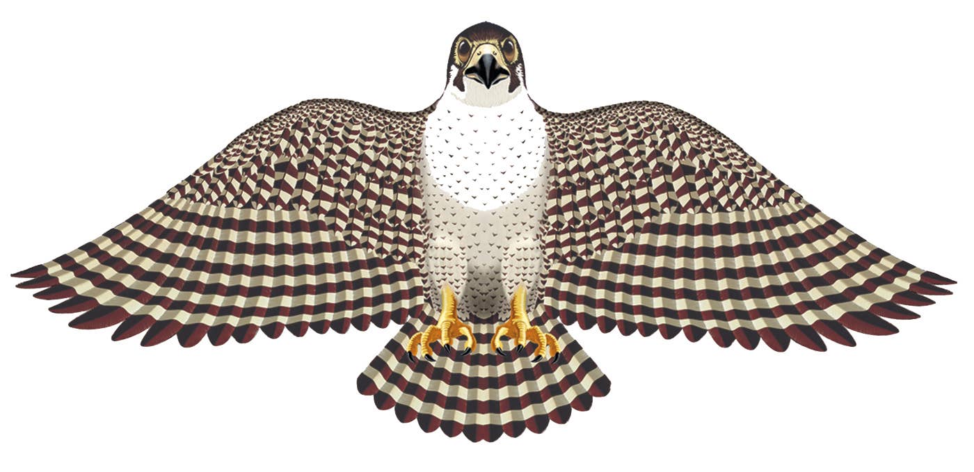 Gayla Flapper Kites, Assorted