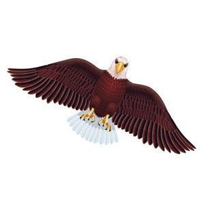 Gayla Flapper Kites, Assorted