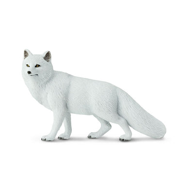 Arctic Fox