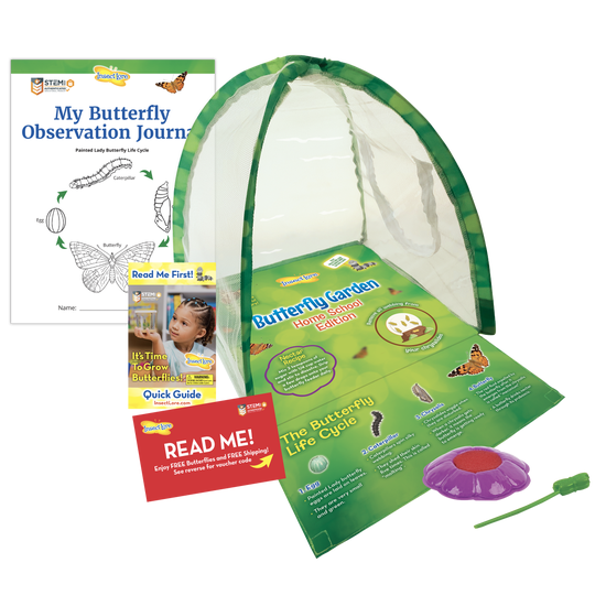 Butterfly Garden Home school Edition