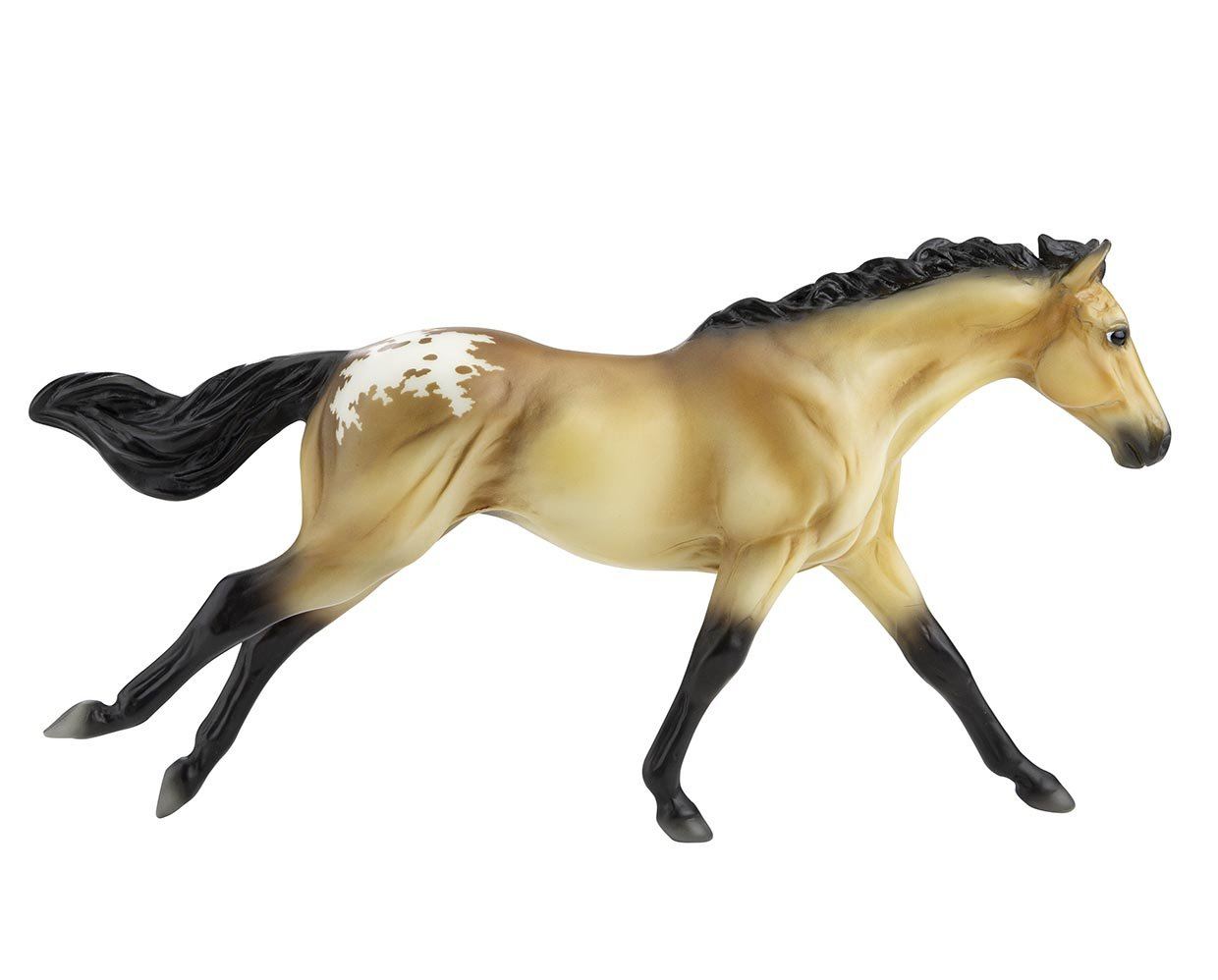 Buckskin Blanket Appaloosa