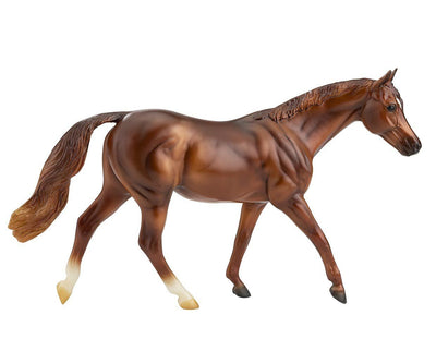 Coppery Chestnut Thoroughbred