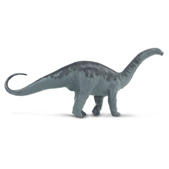 Apatosaurus