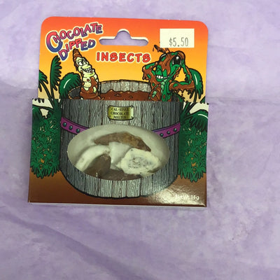 Chocolate Dipped Insects