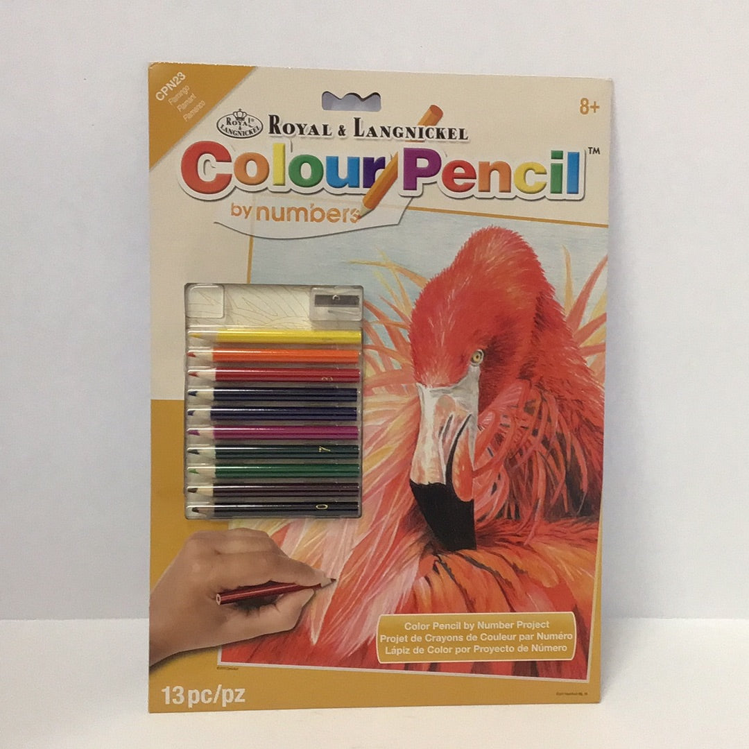 Flamingo Pencil by number