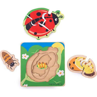Bigjigs Toys Lifecycle Layer Puzzle - Ladybug